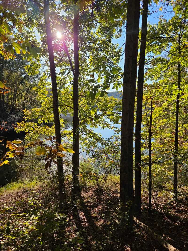 50 Miles of Trails to Explore 50 Miles of Trails to Explore