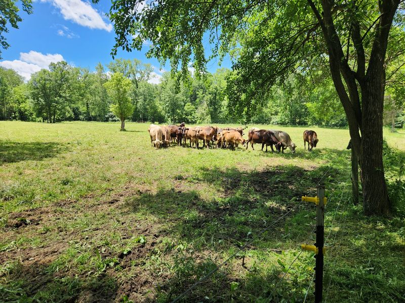 A 1.3-Mile Trail Along Eagle Creek and Through the Pastures A 1.3-Mile Trail Along Eagle Creek and Through the Pastures