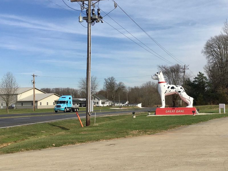 A 24-Foot Dog That Turns a Highway Into a Photo Stop