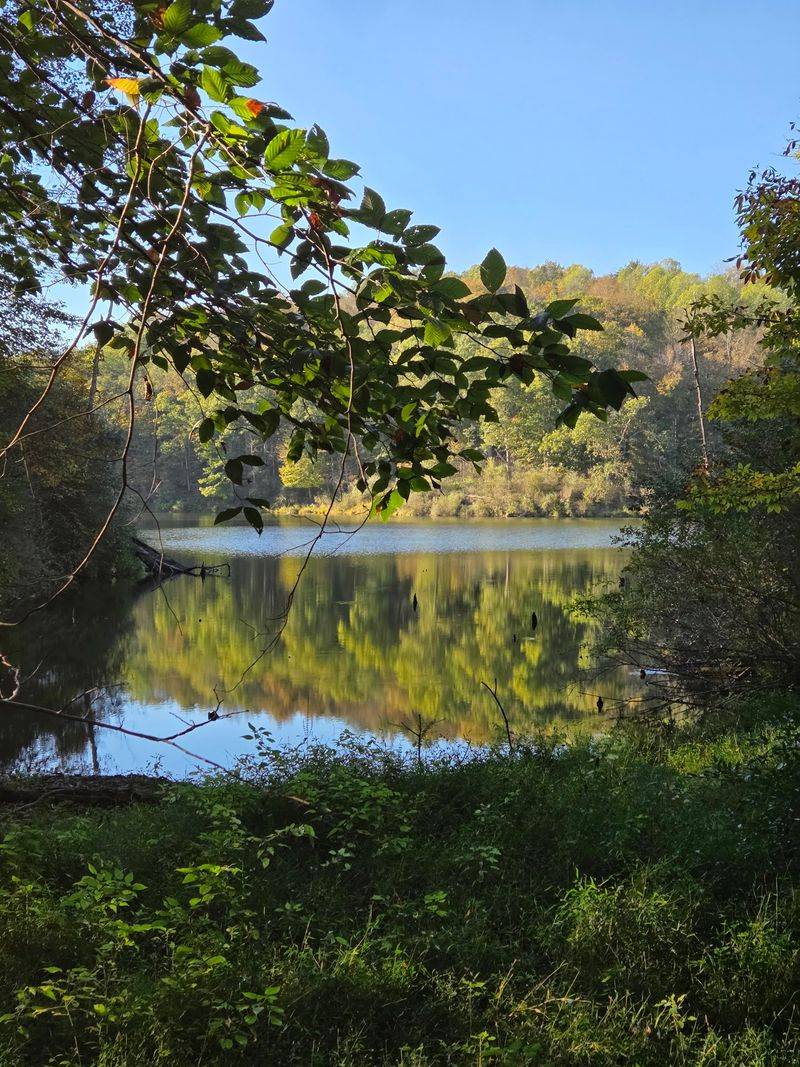 A 2,600-Acre West Virginia Wonderland A 2,600-Acre West Virginia Wonderland