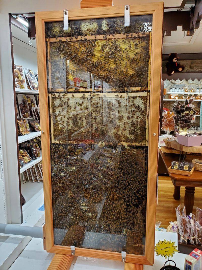 A Candy Room That Rivals Anything You Have Ever Seen A Candy Room That Rivals Anything You Have Ever Seen