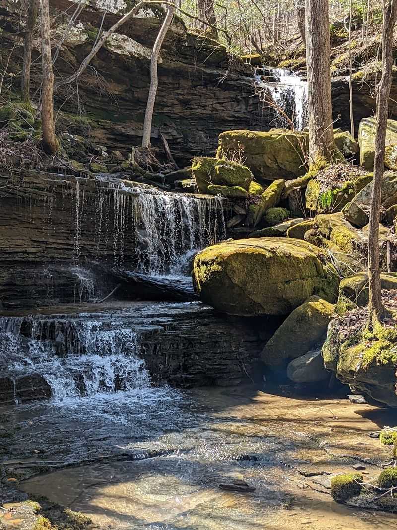 A Canyon That Alabama Quietly Kept To Itself