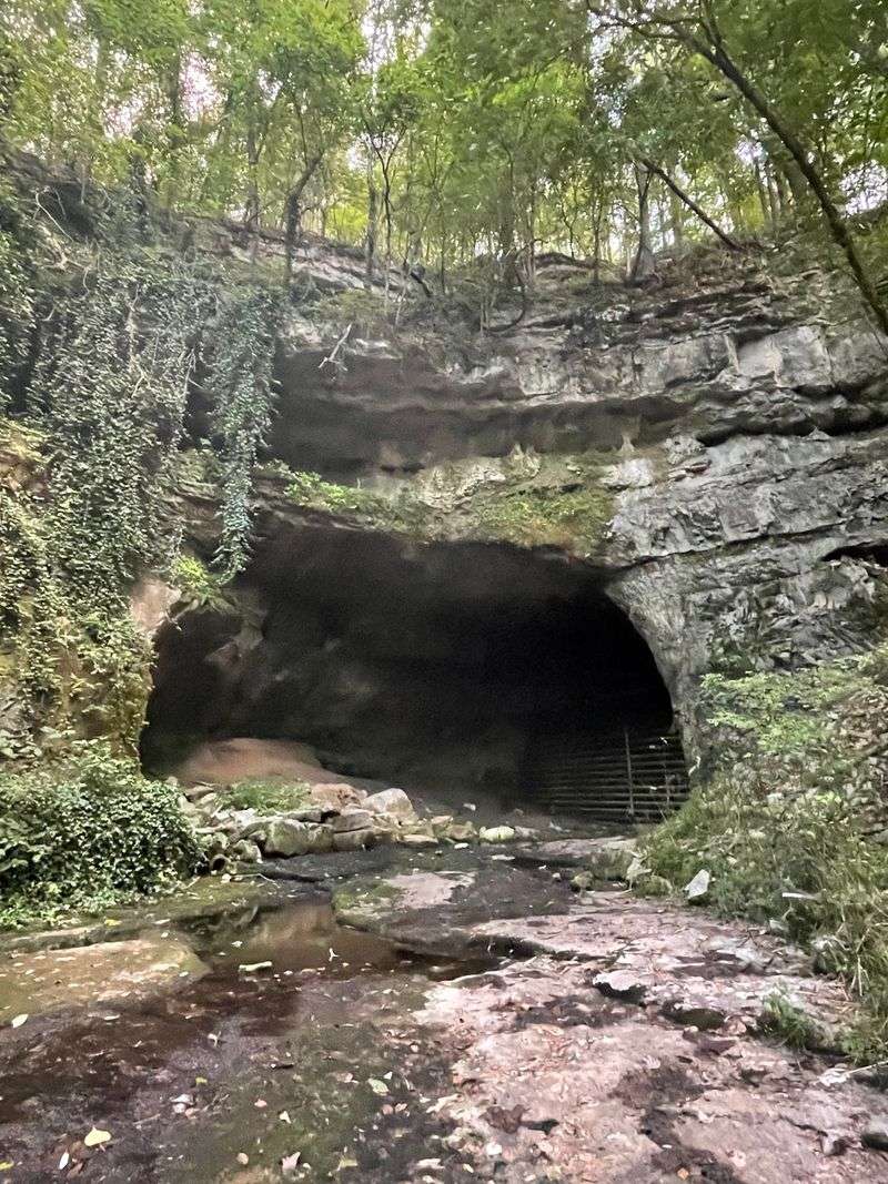 A Cave Entrance Big Enough To Drive A Car Into