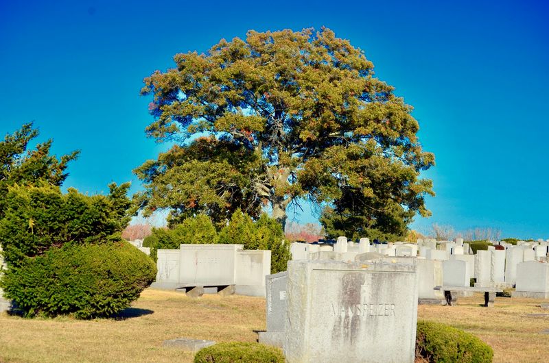 A Cemetery with Serious Star Power A Cemetery with Serious Star Power
