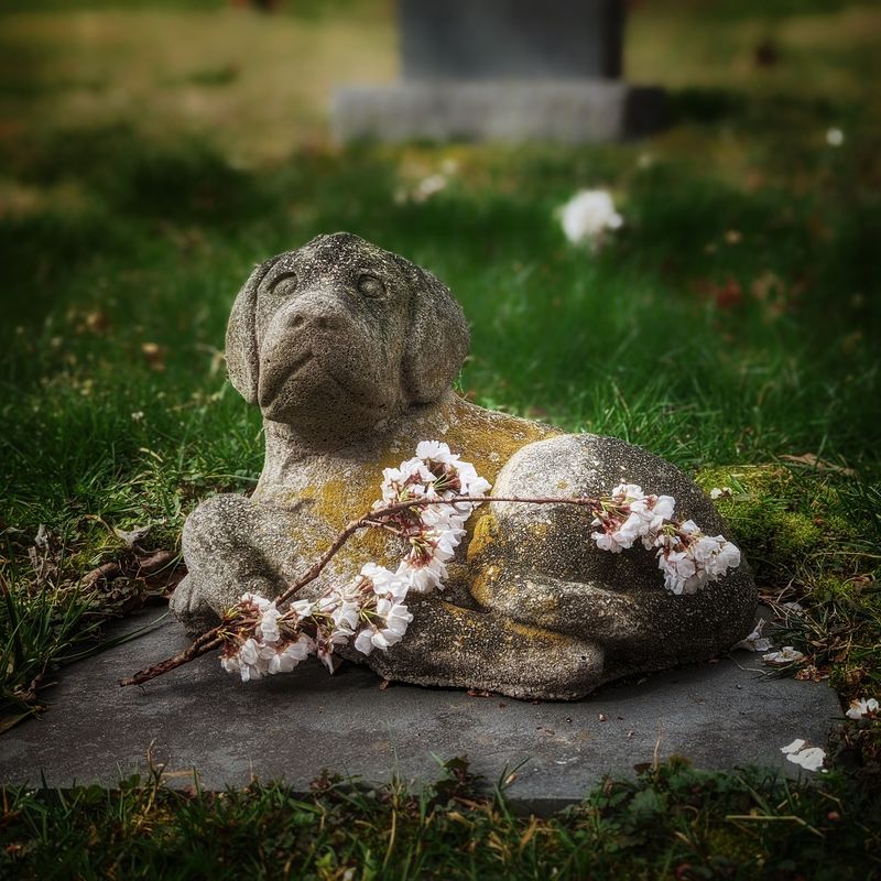 A Century Old Cemetery Hiding in Plain Sight