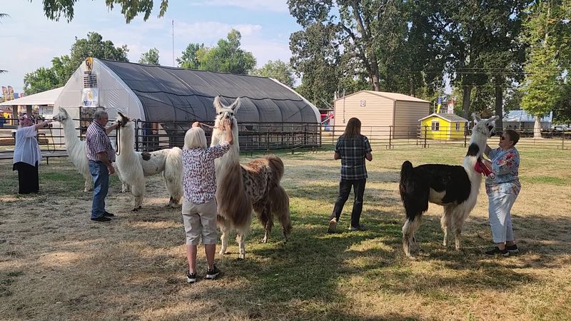 A Community Celebration That Honors Oregon's Heritage