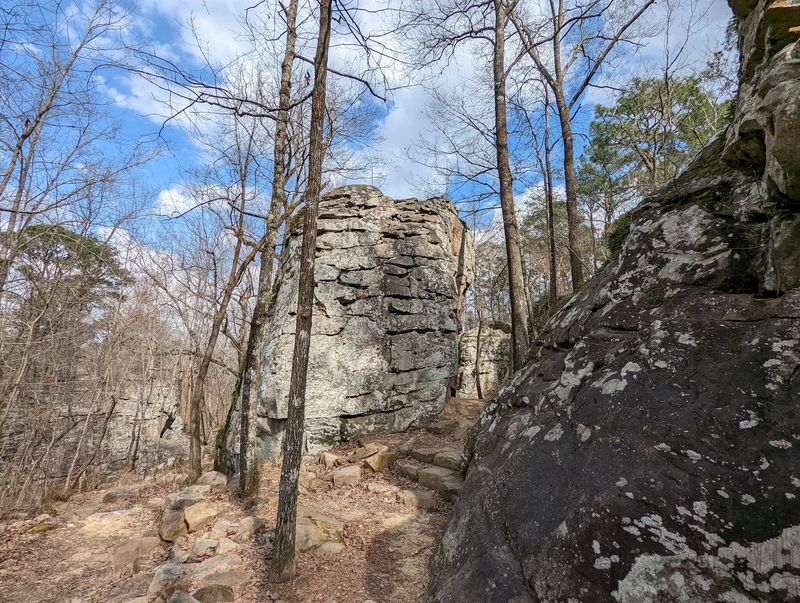A Conservation Success Story Right in the Heart of the Suburbs