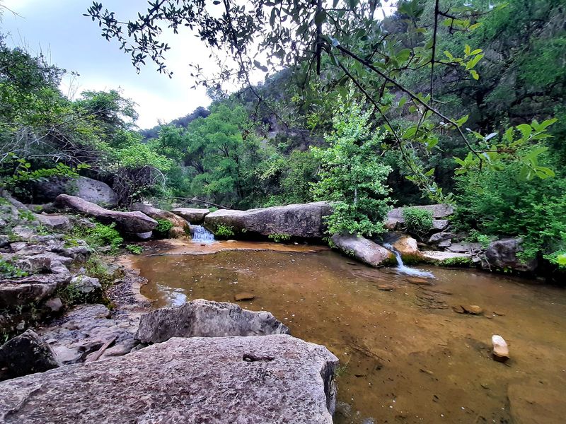 A Double Waterfall That Steals the Show