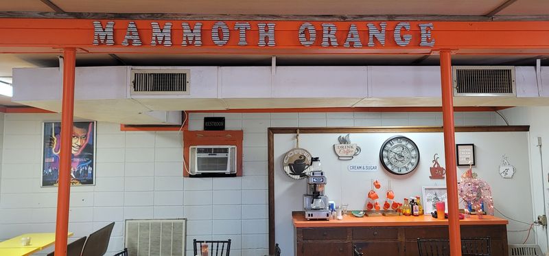 A Family Legacy That Started With a California Road Trip Idea