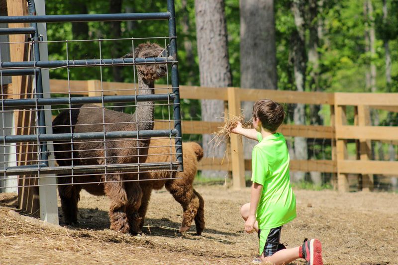 A Farm That Doubles as a Real Classroom