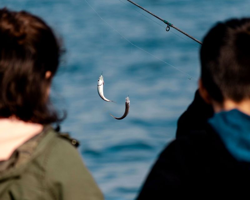 A Fishing Spot That Rewards Patience A Fishing Spot That Rewards Patience
