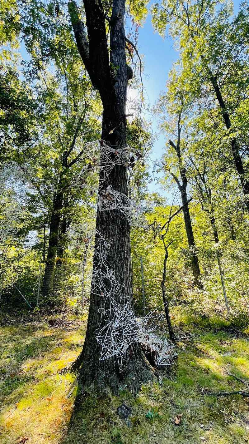 A Free Outdoor Art Experience Unlike Any Other