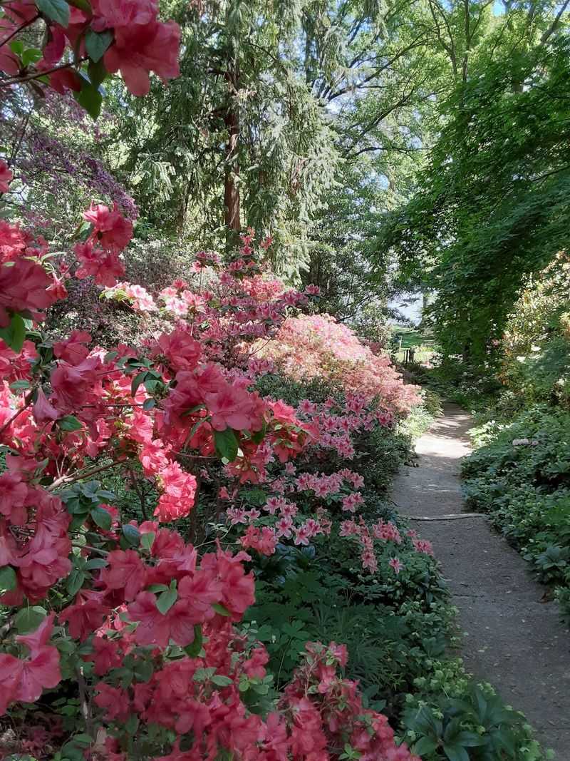 A Garden Built for Making Noise and Touching Things A Garden Built for Making Noise and Touching Things