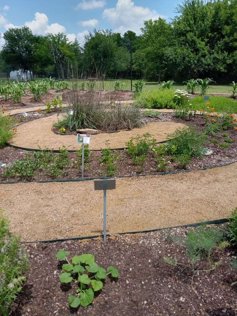 A Garden Link You Can Taste A Garden Link You Can Taste