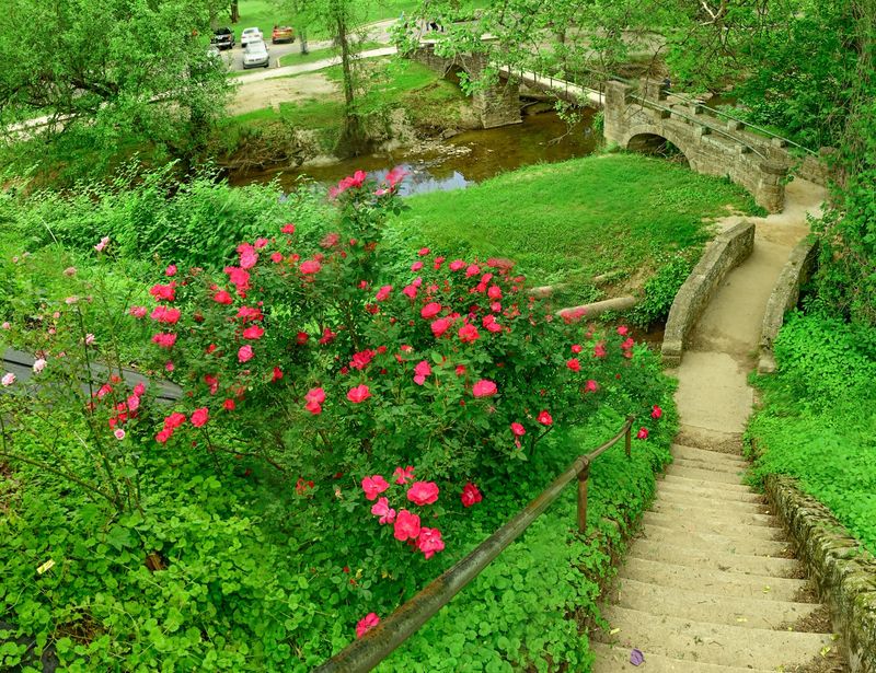 A Garden With Real History Behind It