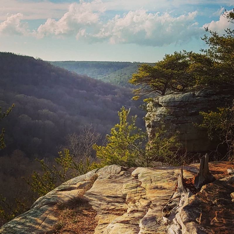 A Gateway to Northeast Alabama's Best Adventures A Gateway to Northeast Alabama's Best Adventures