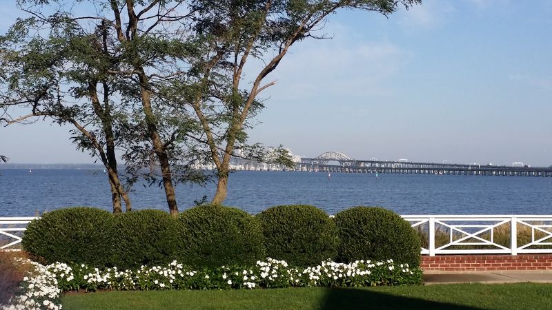A Gentle Introduction to Stevensville's Charm A Gentle Introduction to Stevensville's Charm