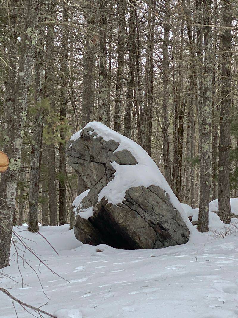 A Giant Stone Frog That Once Drew Carriage Loads of Tourists