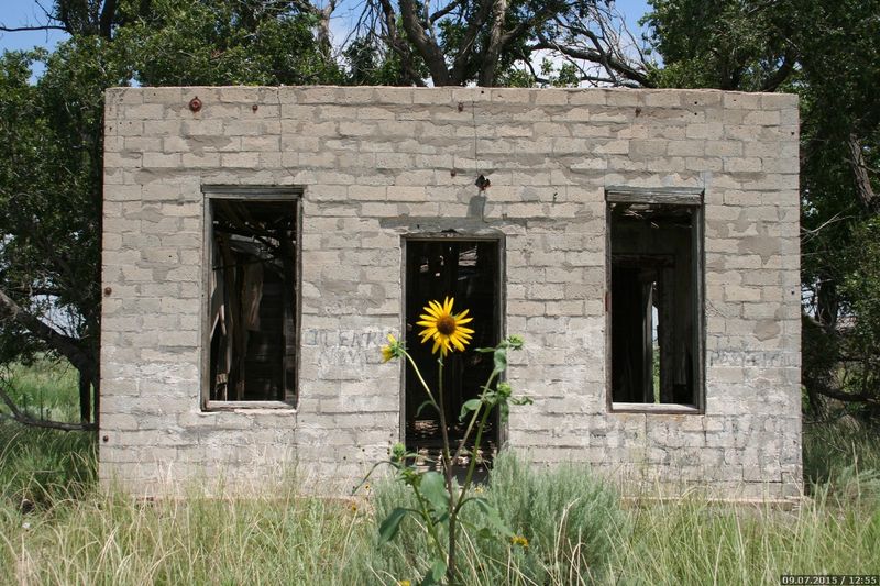 A Glimpse of Revival, A Lingering Question A Glimpse of Revival, A Lingering Question