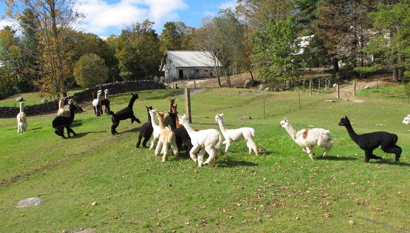 A Granite State Getaway Like No Other A Granite State Getaway Like No Other