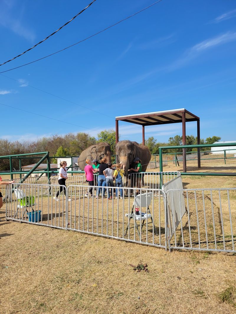 A Herd That Ranks Among The Nation's Largest A Herd That Ranks Among The Nation's Largest