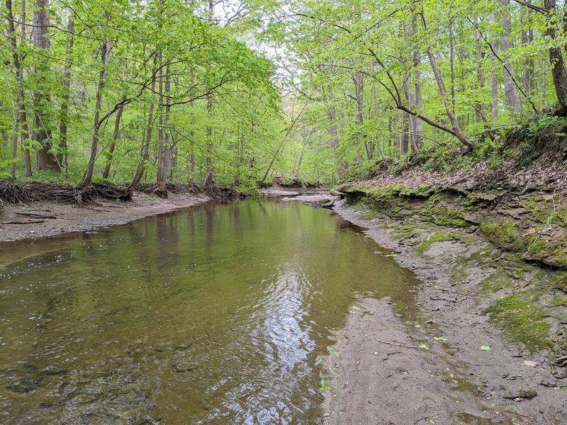 A High-Quality Stream Running Right Through the Middle A High-Quality Stream Running Right Through the Middle