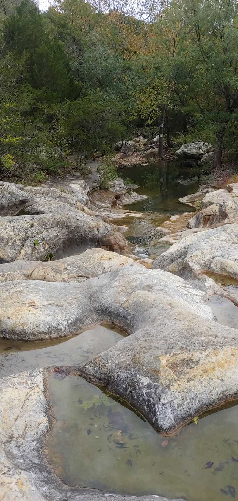 A Living Ozark Ecosystem At Work A Living Ozark Ecosystem At Work