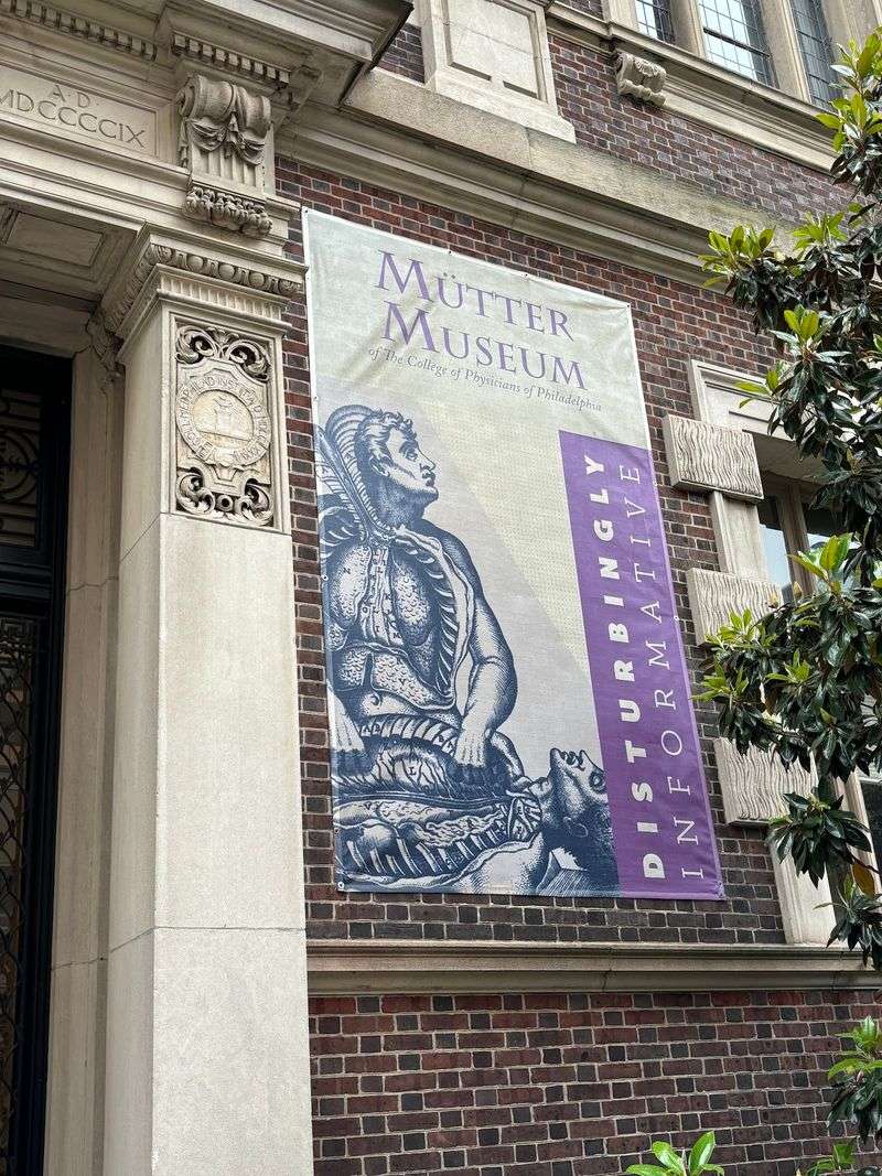 A Museum Where Medicine Gets Beautifully Strange