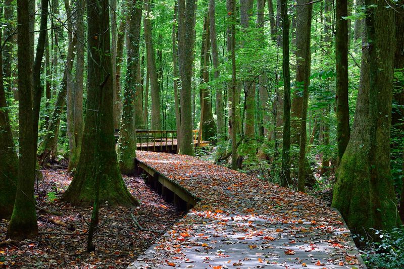 A National Natural Landmark Hiding in Plain Sight A National Natural Landmark Hiding in Plain Sight
