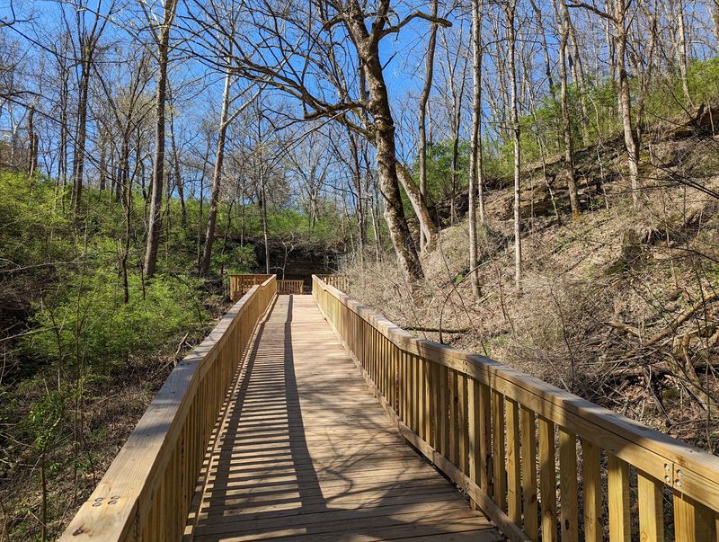A Natural Retreat for Slowing Down and Snapping Photos