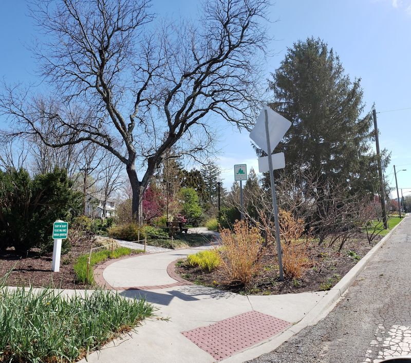 A Neighborhood Green Space Everyone Passes
