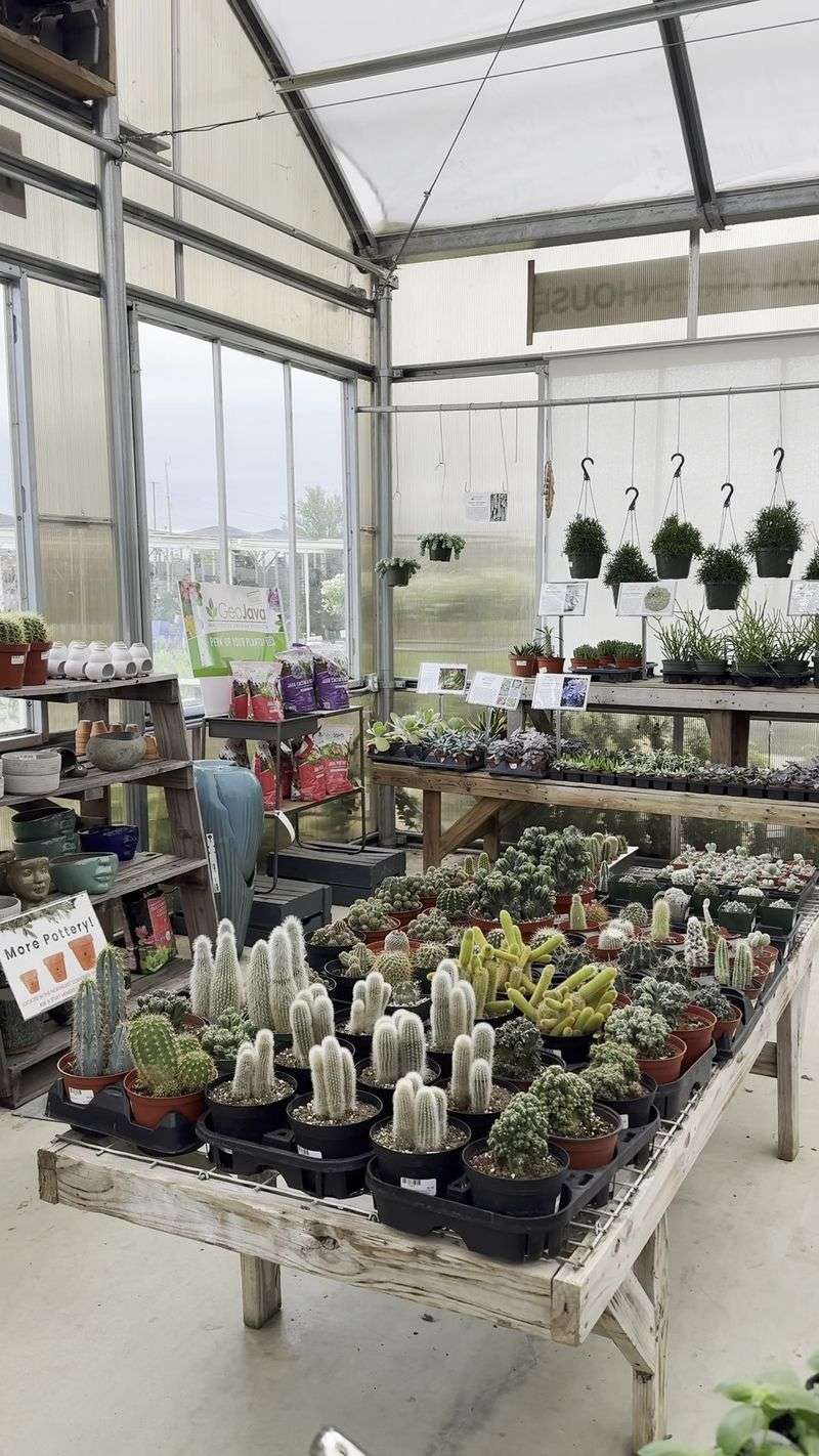A Nursery That Has Been Growing Since 1951 A Nursery That Has Been Growing Since 1951