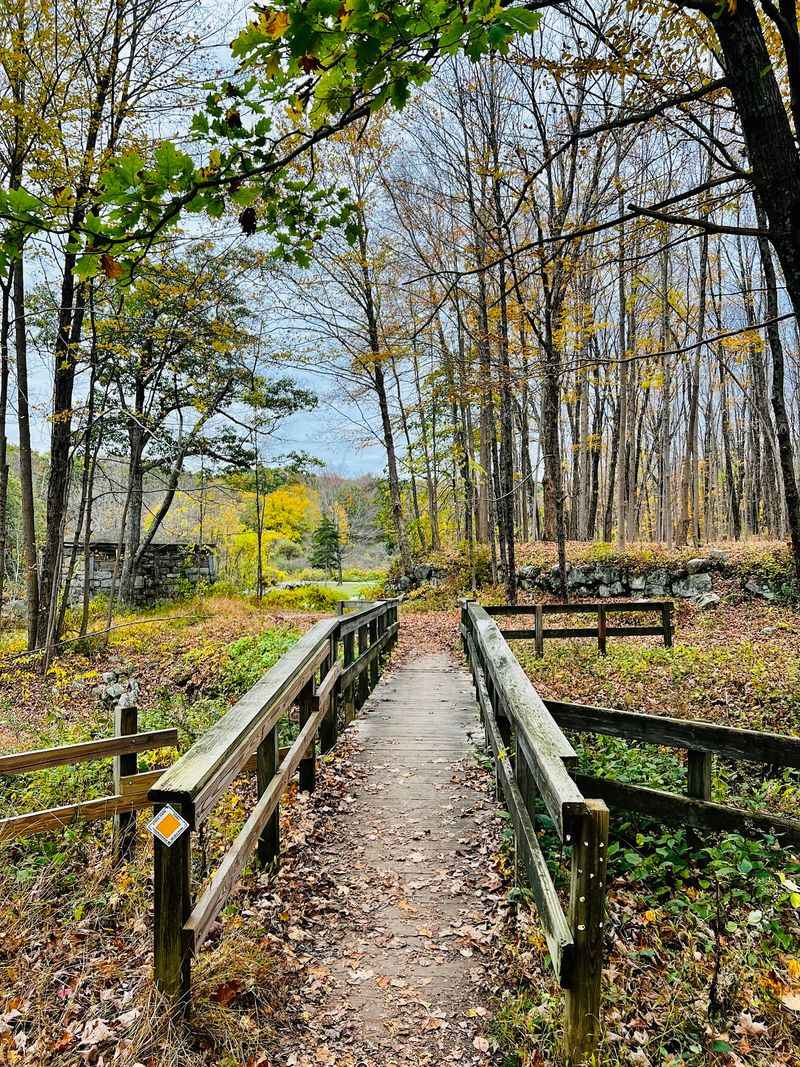 A Park That Feels Untamed