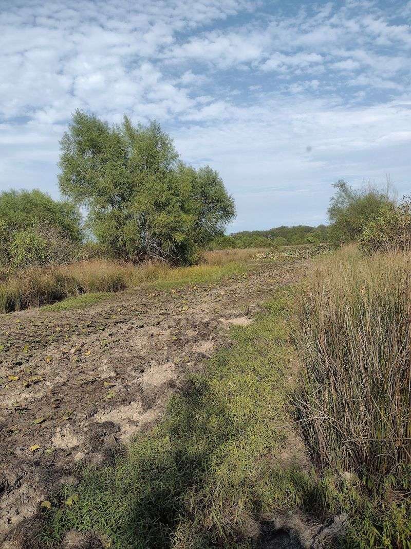 A Patchwork Of Habitats Packed Into One Property
