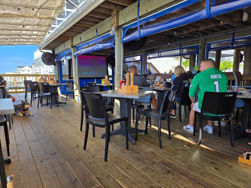 A Patio Where Dogs Get Their Own Menu A Patio Where Dogs Get Their Own Menu
