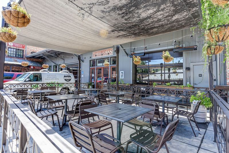 A Patio Where Dogs Get the Best Seats