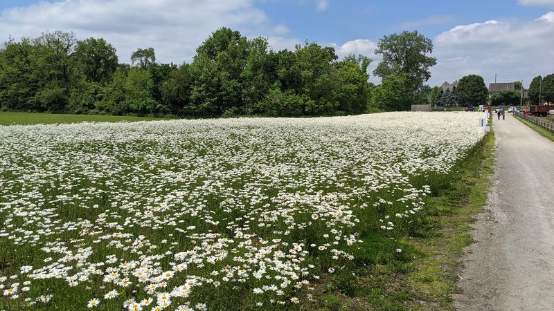 A Peaceful Nature Trail Through the Farm