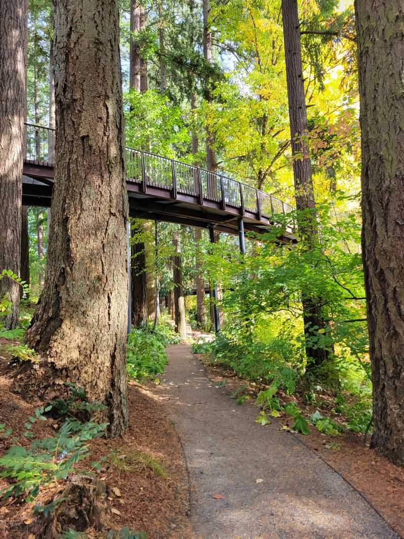 A Peaceful Urban Escape Hiding in Plain Sight
