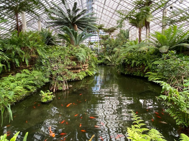 A Permanent Rainforest Right in the Heart of Indianapolis