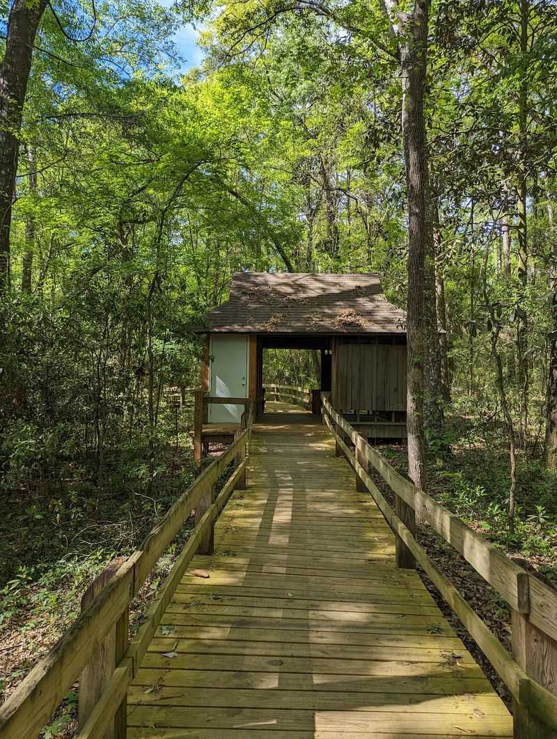 A Quarter Mile of Elevated Boardwalk Over Wetlands A Quarter Mile of Elevated Boardwalk Over Wetlands