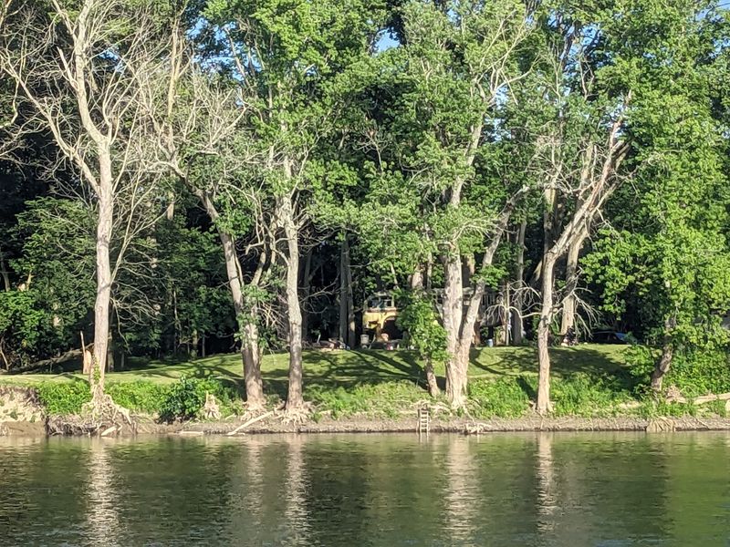 A Rare Bald Eagle Nesting Site Right In Tippecanoe County
