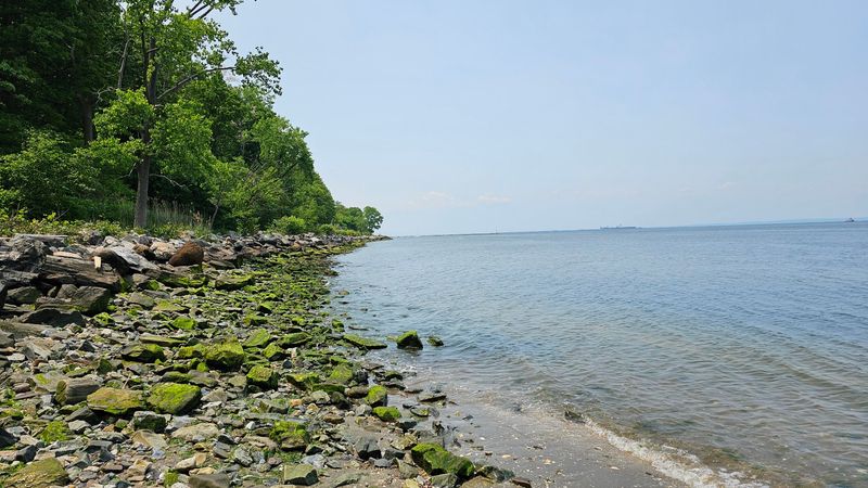 A Rocky Shore That Surprises You in the Best Way
