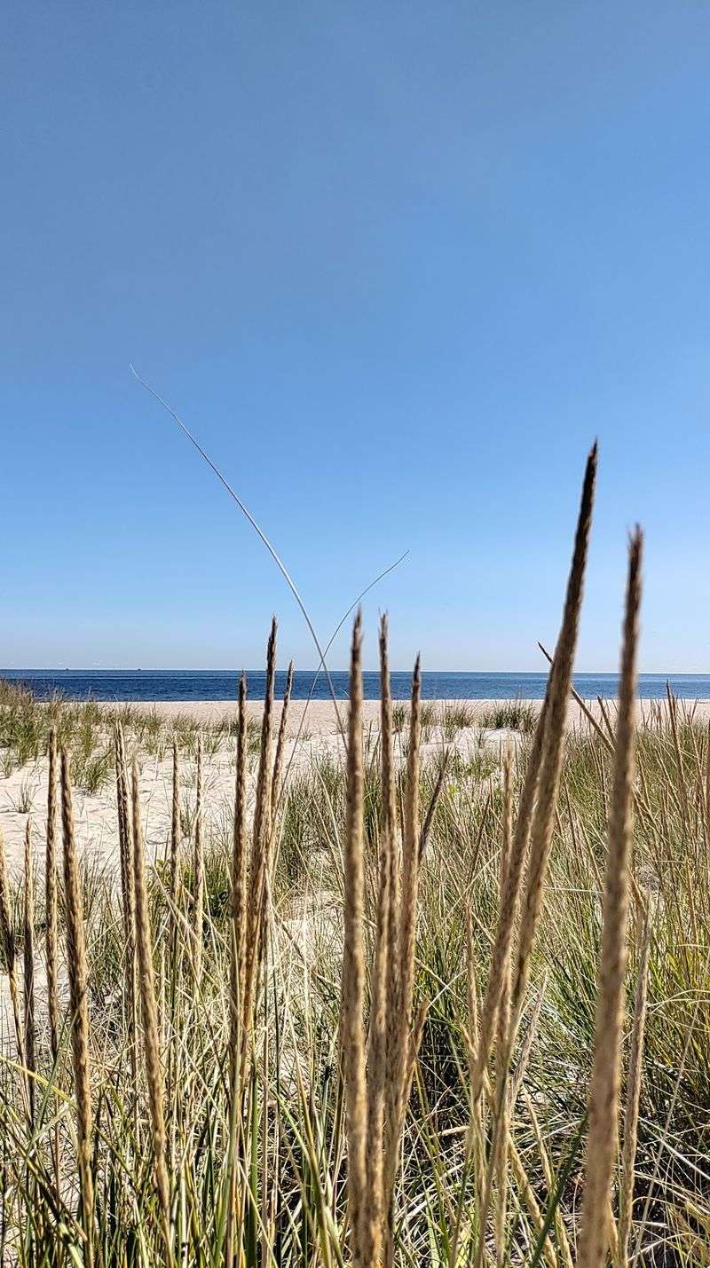 A Serene Shore Escape A Serene Shore Escape
