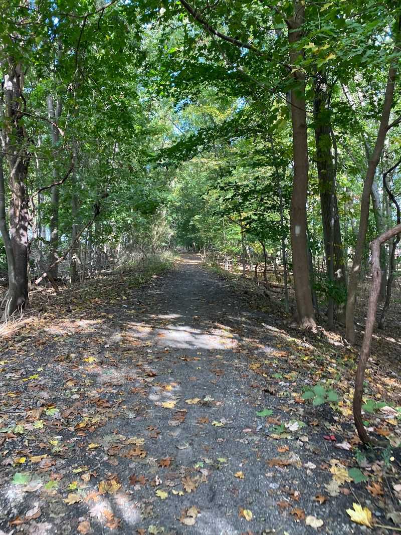 A Shady Escape Close To Town