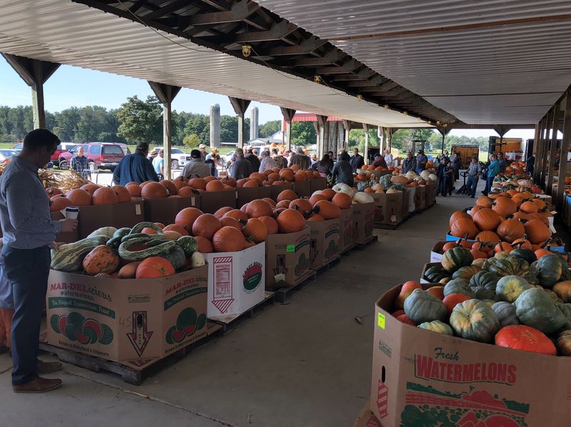 A Slice of Indiana Farm Country Worth the Drive