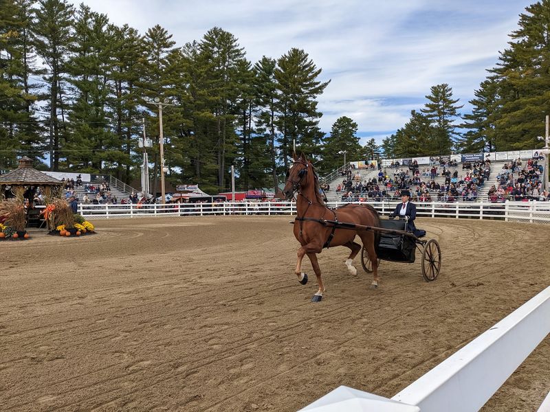 A Step Back in Time: The Rich History Behind the Fair A Step Back in Time: The Rich History Behind the Fair