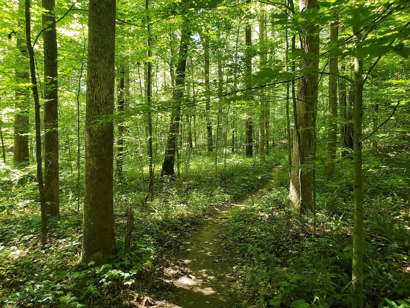 A Ten Mile Loop That Actually Works Your Legs A Ten Mile Loop That Actually Works Your Legs