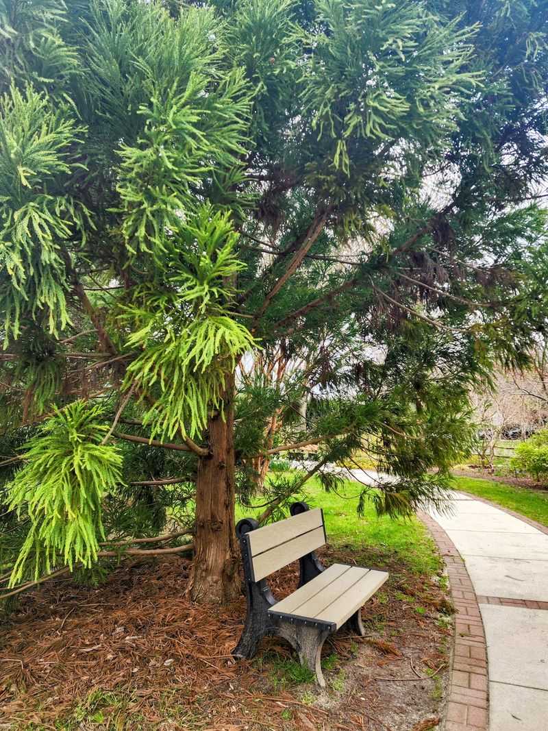 A Tiny Arboretum With A Big Reputation