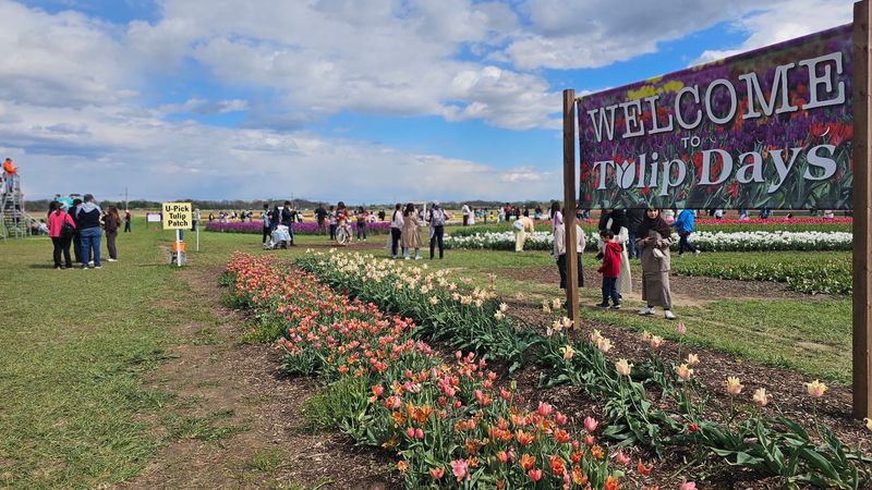 A Treasure Trove of Farm Activities for Every Age