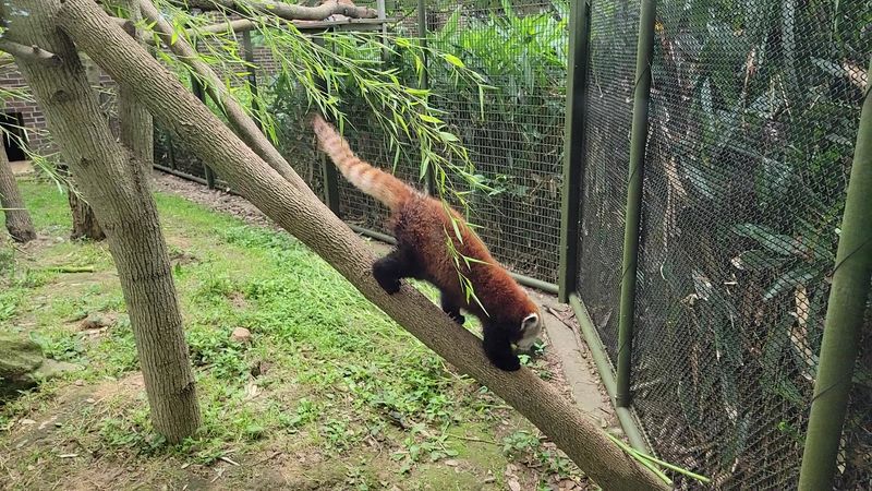 A Trip Around The World Without Leaving Evansville